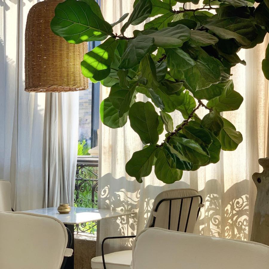 Sakkan Marrakesh Ngoại thất bức ảnh
